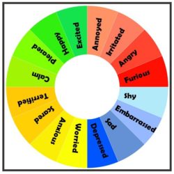 emotion wheel for teaching emotion understanding to children with autism