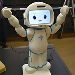 Social humanoid robot used research in religious context
